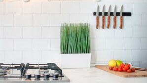 A kitchen with a gas stove, a potted plant, a knife rack, and a cutting board with tomatoes and lemons.