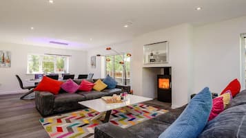 TV, fireplace, video-game console, DVD player