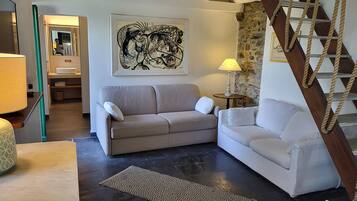 Télévision, cheminée, table de tennis de table, livres