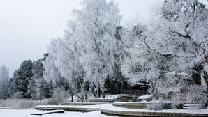 A snow-covered landscape with trees and a wooden structure.