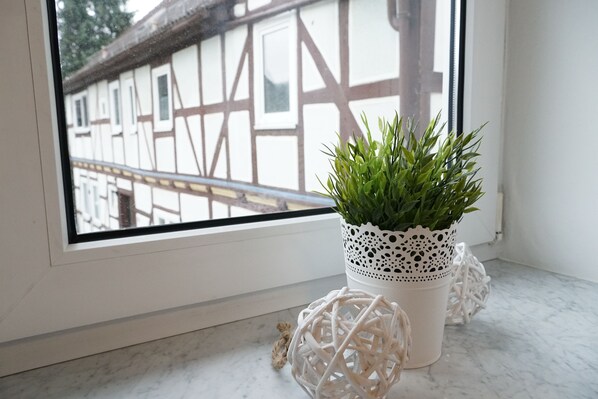 A potted plant on a windowsill with a view of a traditional half-timbered building outside.