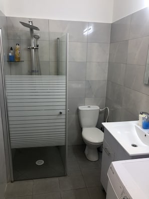 Appartement classique | Douche de la salle de bain