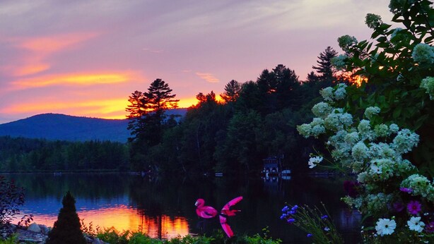 Un jardín con un lago, árboles y una puesta de sol.