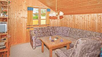 Televisio, takka, DVD-soitin