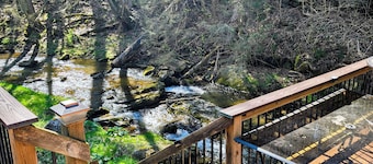 Beautiful 2 BR cabin with a wall of windows overlooking the deck and stream.