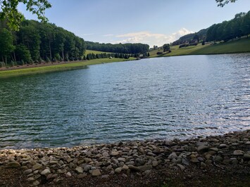 Image of Beautiful lake view property nestled in the pines 79 miles north of Pittsburgh.