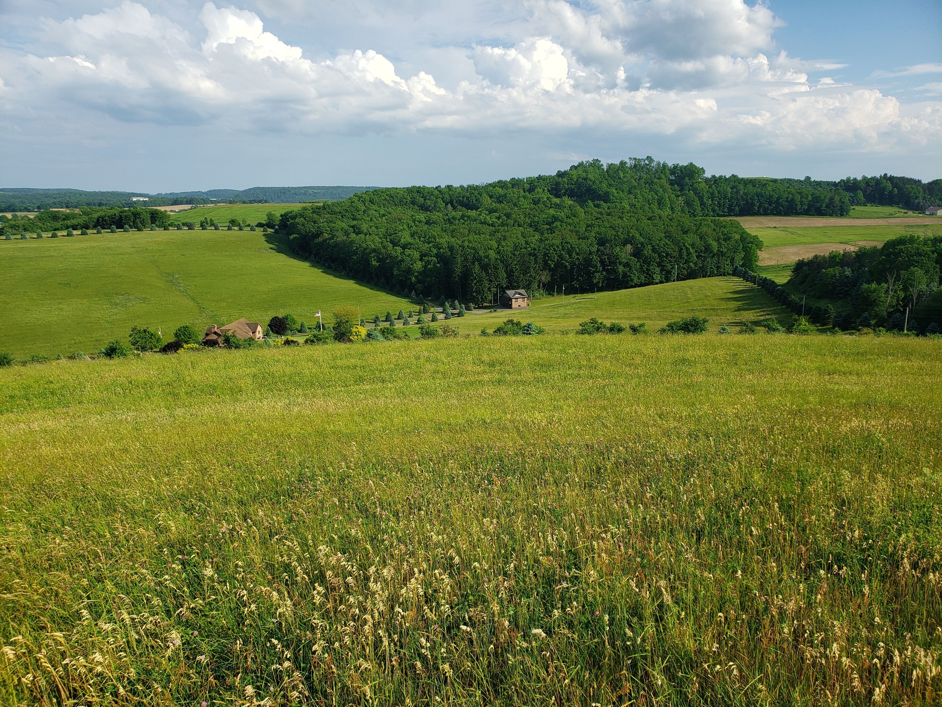 A rural landscape with rolling hills, a small house, and a field of crops.