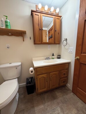 Combined shower/bathtub, hair dryer, towels, soap - Cold Spring Farm Milk House  Apt.- Colgate & Hamilton College (Hubbardsville)