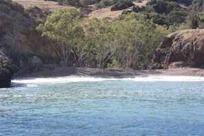 Eine Küstenlandschaft mit felsigen Klippen, dichtem Grün und ruhiger See.