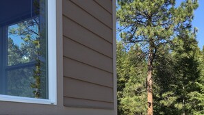 A house with stone siding and a window. - New Montana Modern Cottage overlooking Flathead Lake (Somers)