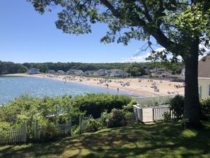 A beach with houses in the background, a fence, and a tree in the foreground.