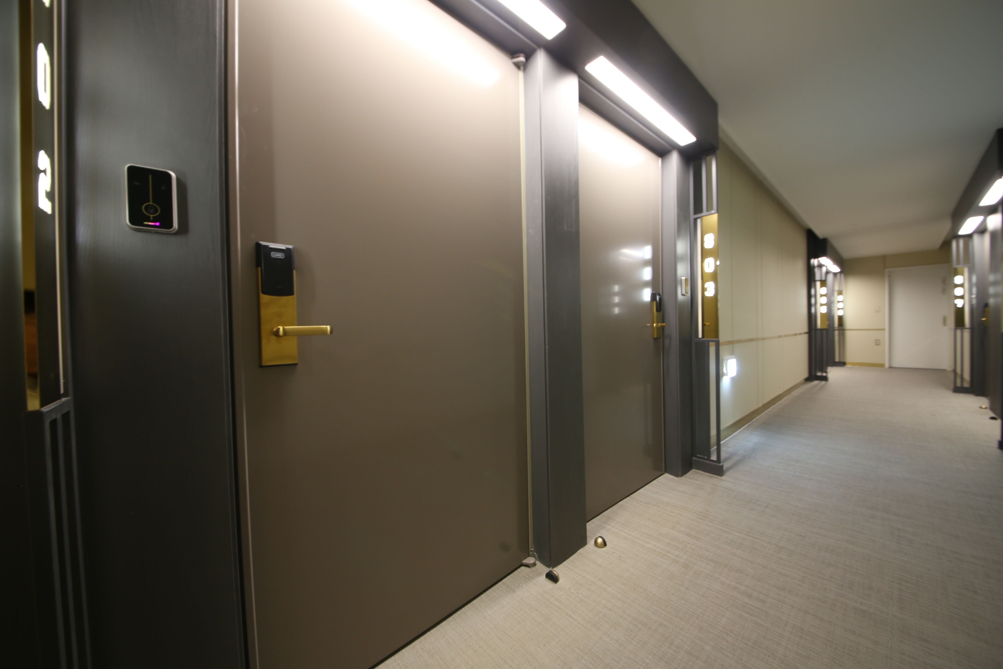 A hallway with doors, a light switch, and a carpeted floor.
