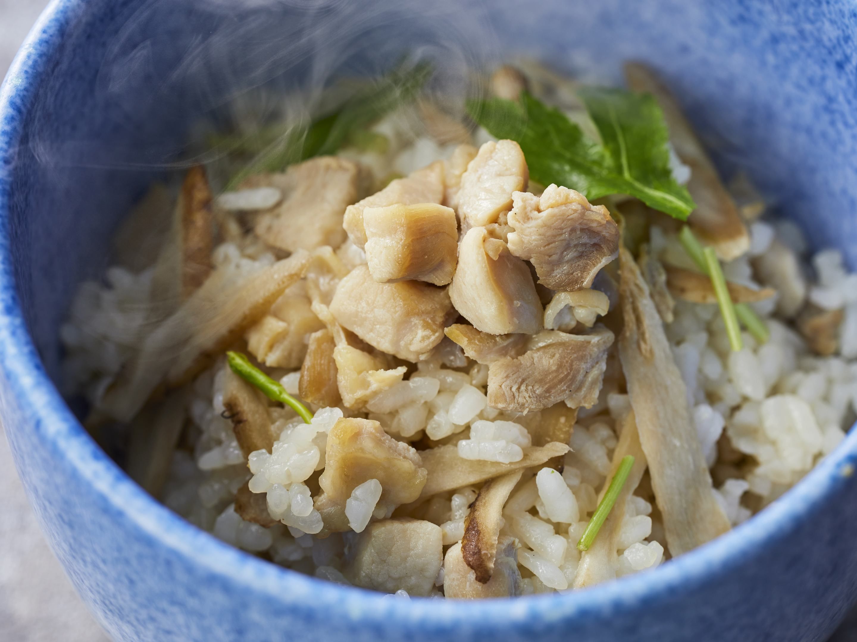 A bowl of rice with chicken pieces and green onions.
