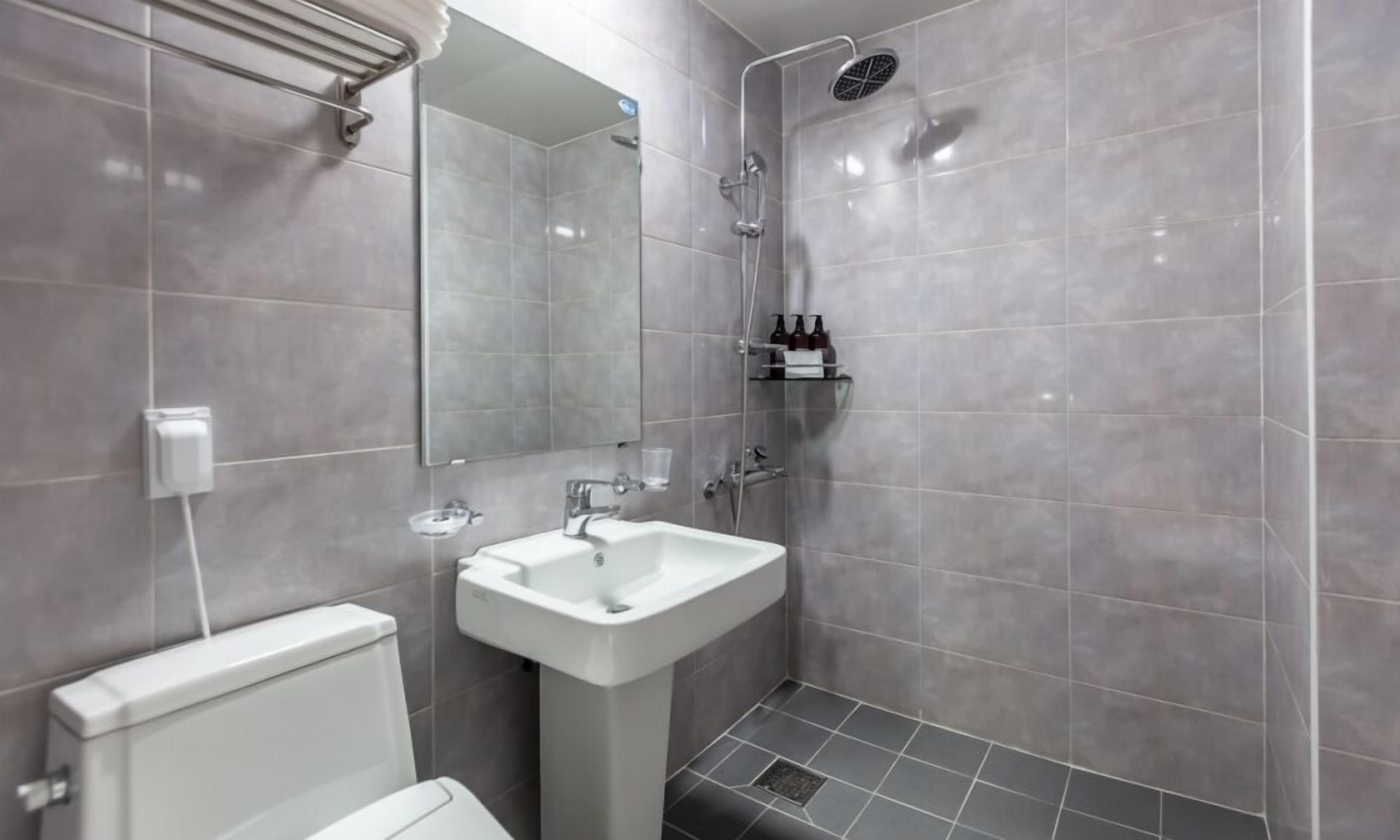 A modern bathroom with a white sink, a toilet, a shower with a handheld showerhead, and a mirror.