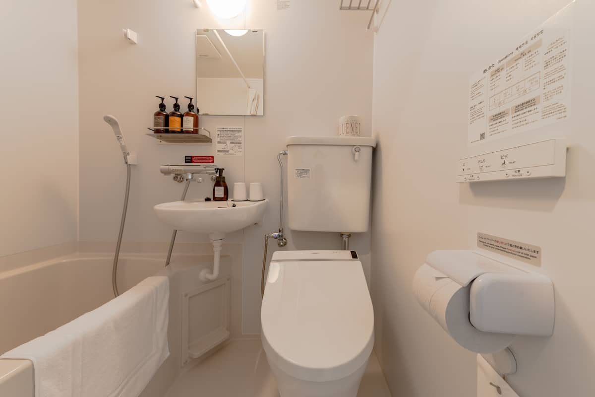 combined shower/bathtub, hair dryer, slippers, electronic bidet