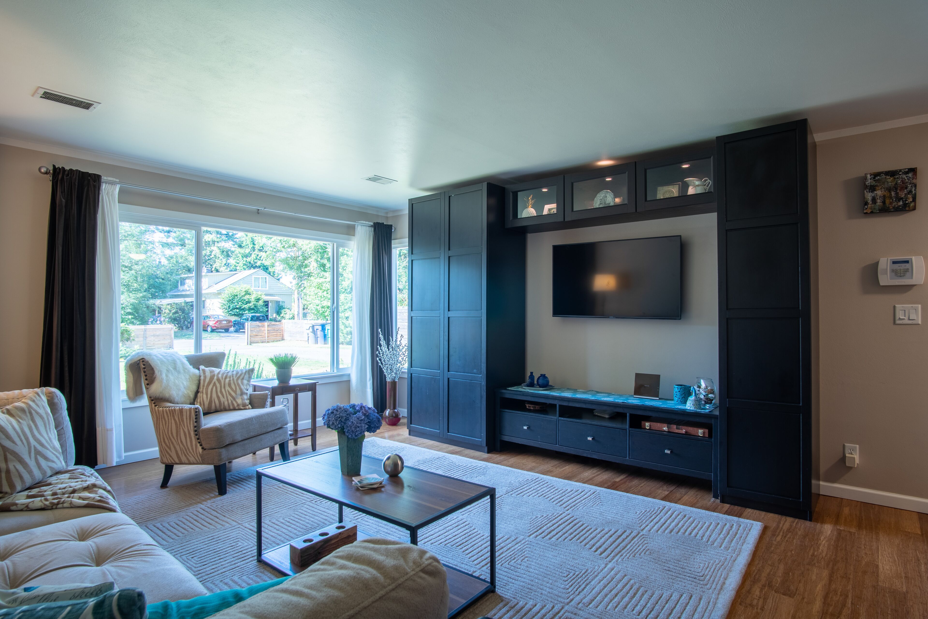 Smart TV, fireplace, books