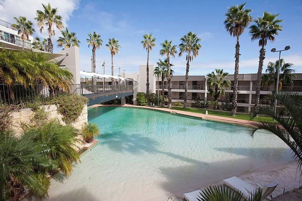 A swimming pool surrounded by palm trees and modern buildings.