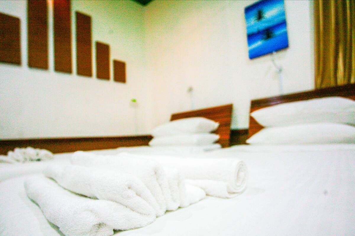 Deluxe Double or Twin Room | Egyptian cotton sheets, premium bedding, down comforters
