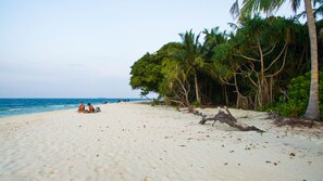 Private beach nearby, white sand, beach umbrellas - Reposo View (Dharavandhoo)