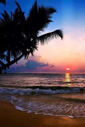 Sun loungers, beach towels