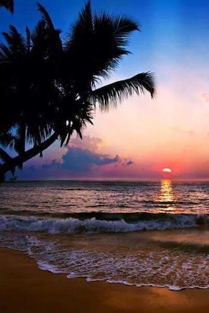 Sun loungers, beach towels