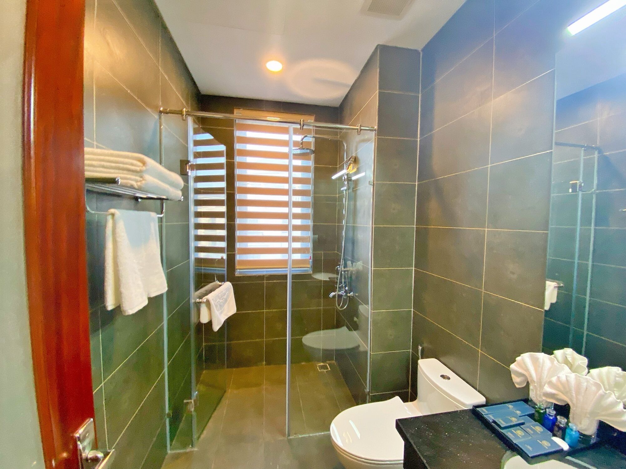 A modern bathroom with a glass-enclosed shower, a toilet, and a sink area with toiletries.