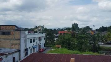 A rooftop with a corrugated metal roof, overlooking a residential area with houses and greenery.