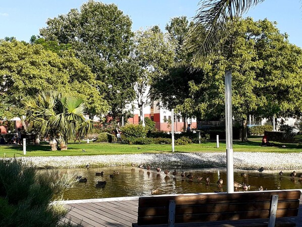 Property grounds - B&B Pascal (Cagliari)