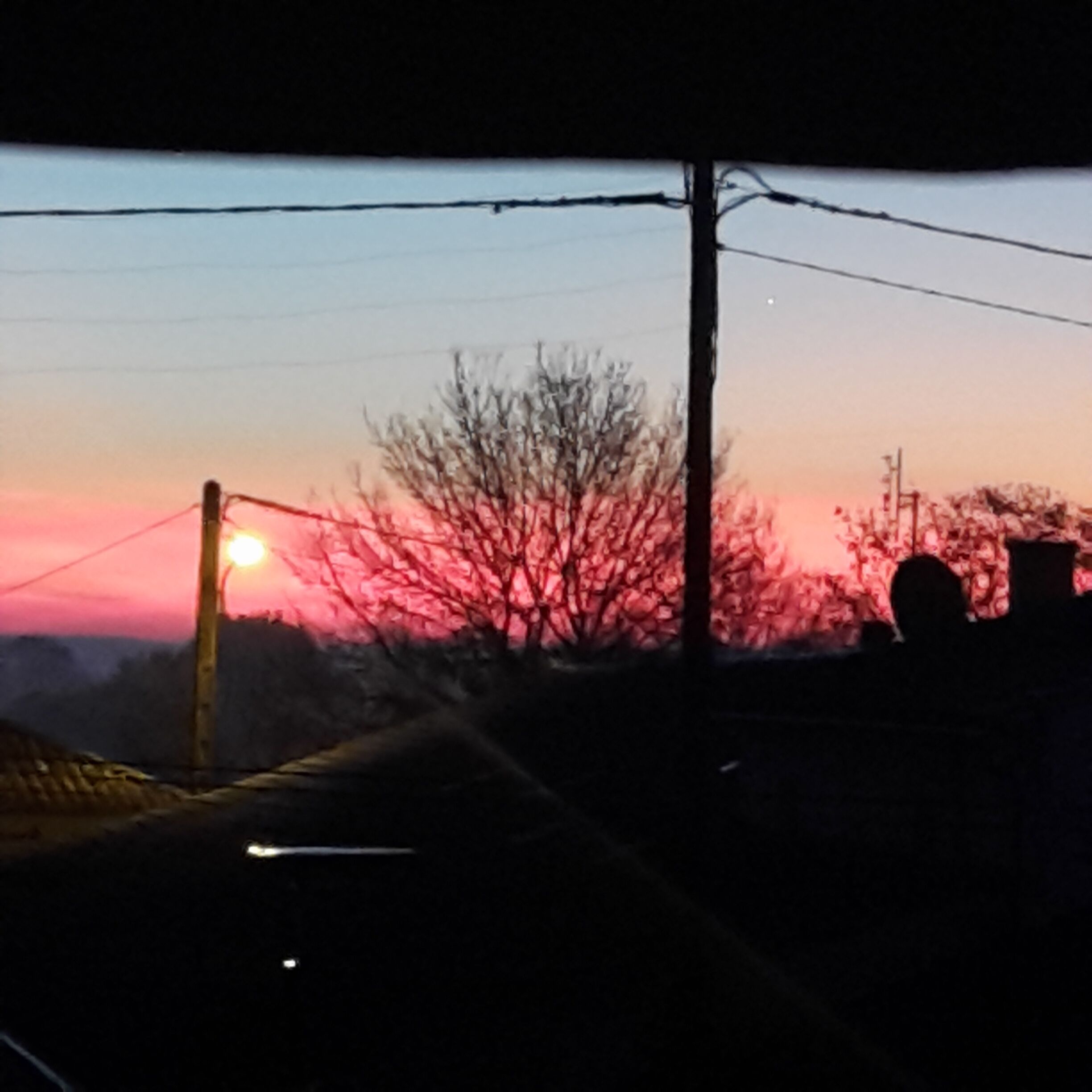 A sunset with a silhouette of a tree and a streetlight.