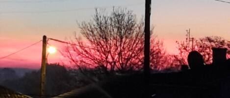 A sunset with a silhouette of a tree and a streetlight.