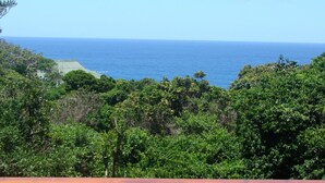 A coastal landscape with dense greenery and a view of the ocean. - Campismo Ninho 11 (Ponta d'Ouro)