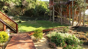 A wooden deck leading to a garden with a variety of plants and flowers. - Campismo Ninho 28 (Ponta d'Ouro)