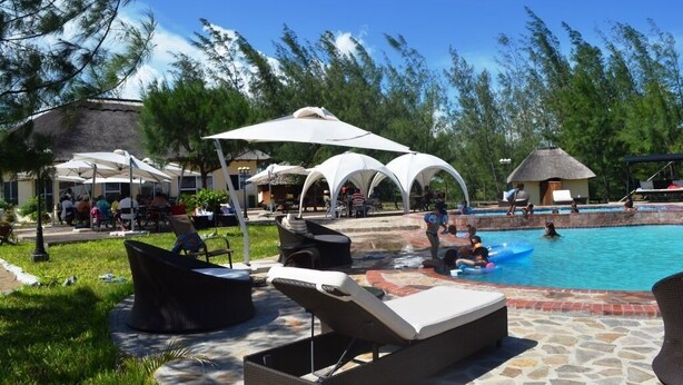 A pool area with lounge chairs and umbrellas, surrounded by trees and a thatched-roof structure.