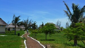 A pathway leading to thatched-roof cottages surrounded by lush greenery and palm trees.