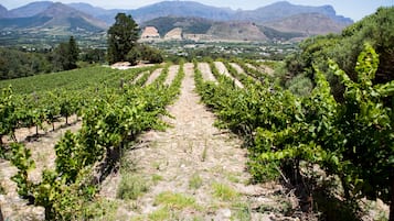 Winery