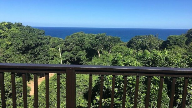 Un balcón con vista al océano y abundante follaje.