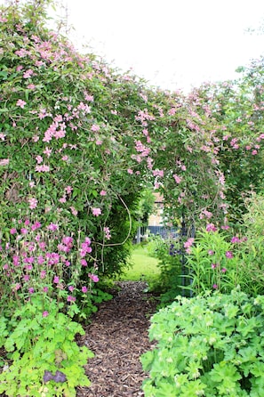 A garden pathway surrounded by lush greenery and flowering plants. - The Vine B & B (Alford)