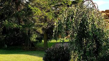 A garden with various trees and shrubs, a gravel path, and a wooden post with a label.