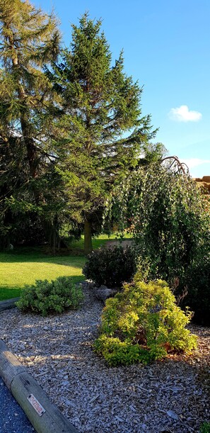 Jardín