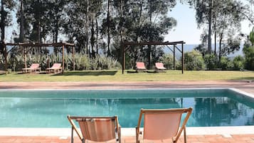 Kolam renang outdoor, dengan payung kolam renang dan kursi berjemur