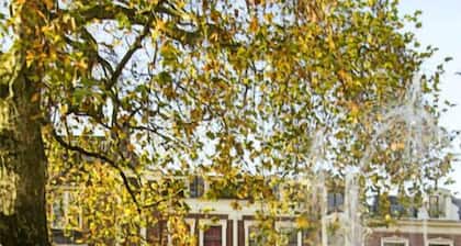The Studenthostel Utrecht