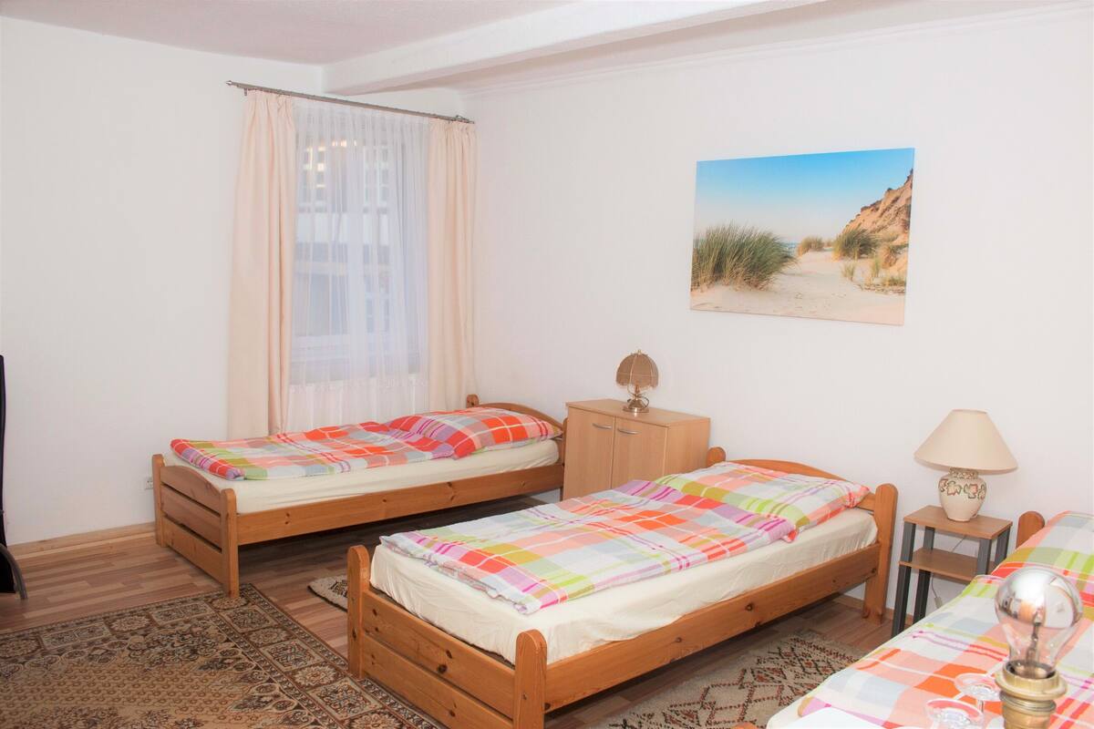 Triple Room, Shared Bathroom | Desk, laptop workspace, iron/ironing board (on request), WiFi (free)
