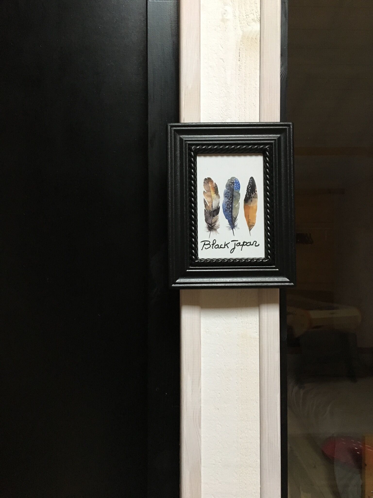 A framed picture of Black Tarpan feathers on a wall.