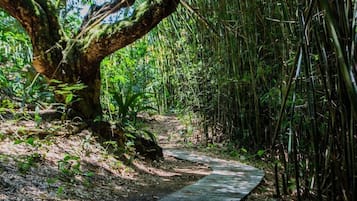Kawasan hartanah