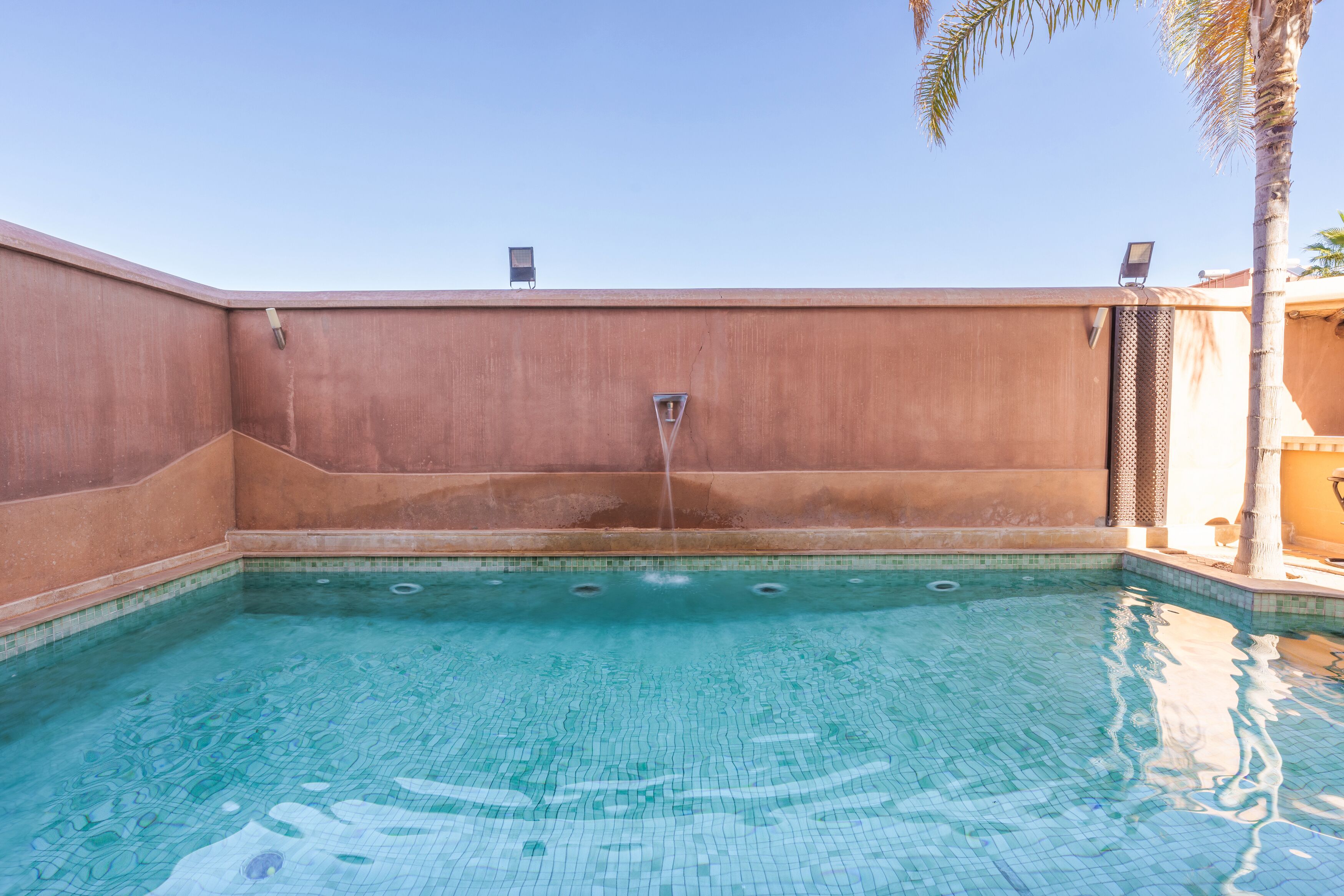 A swimming pool with a clear blue water feature, a wall-mounted light fixture, and a palm tree.