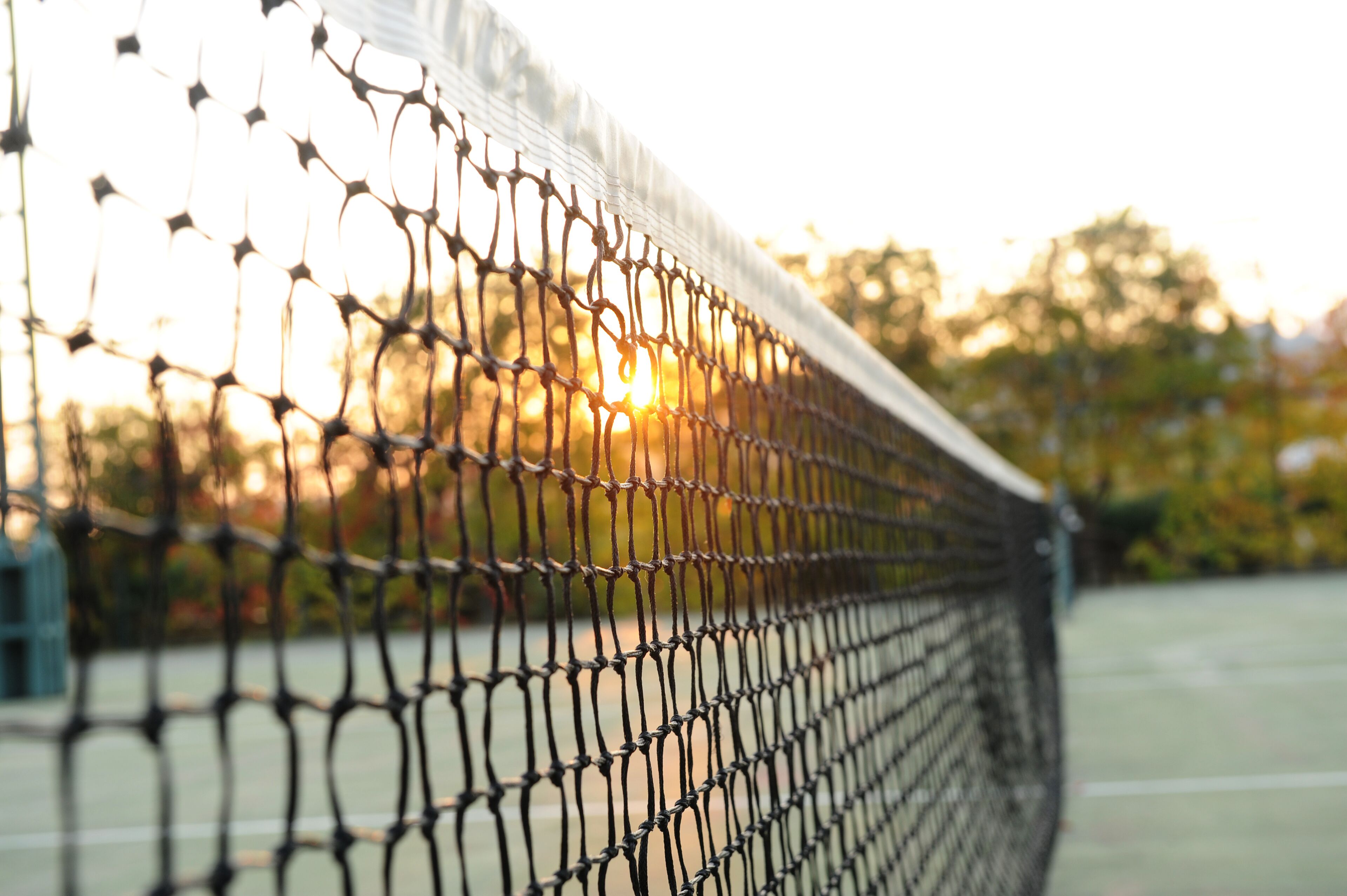 A close-up of a tennis net with a blurred background of trees and a building.