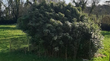 Vue sur le jardin