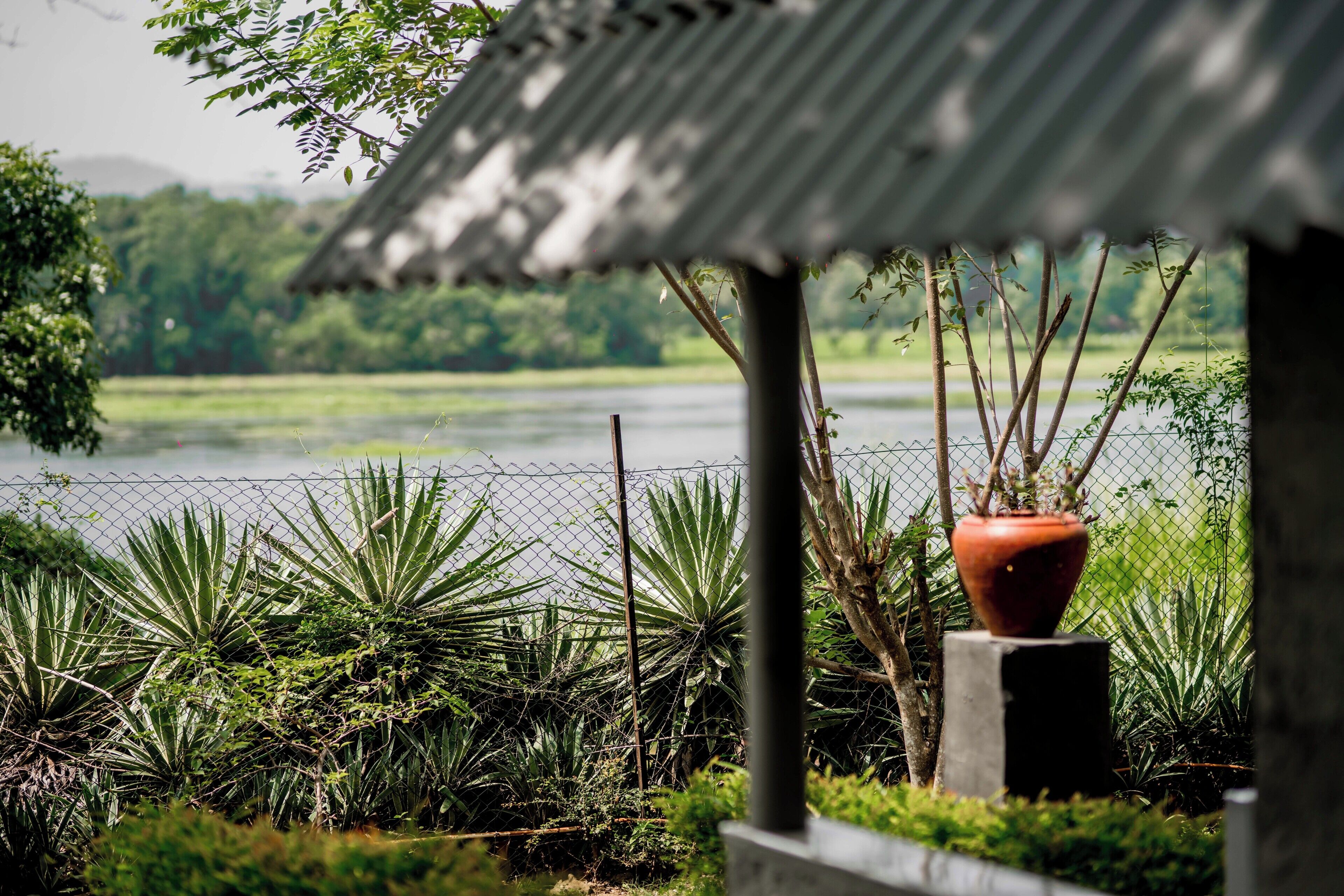 A fenced garden with various plants and a thatched-roof structure.