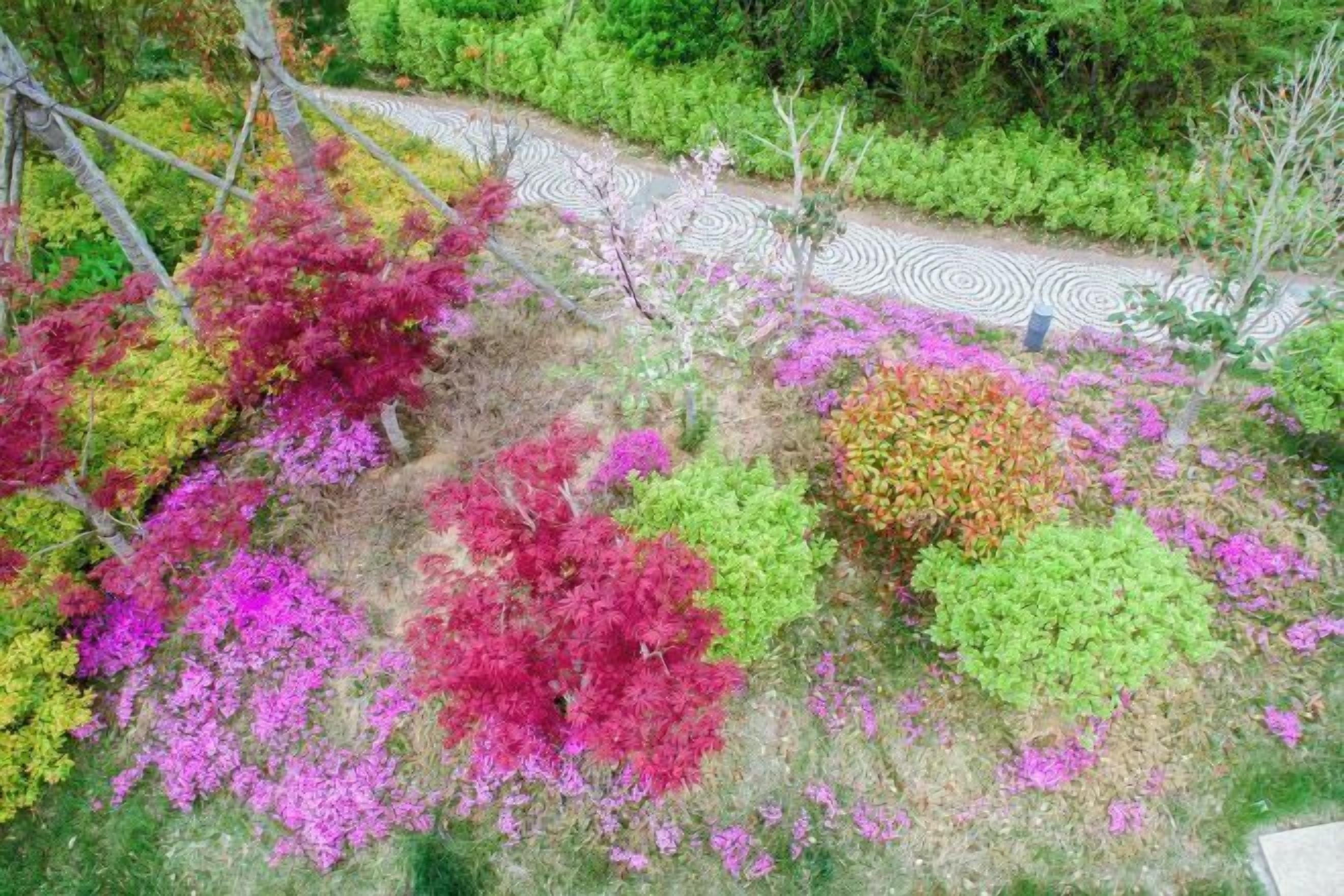 المنطقة المحيطة بالمنشأة