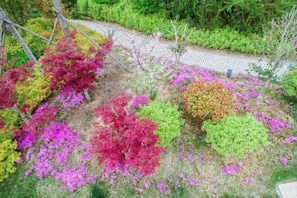 Terrain de l’hébergement 